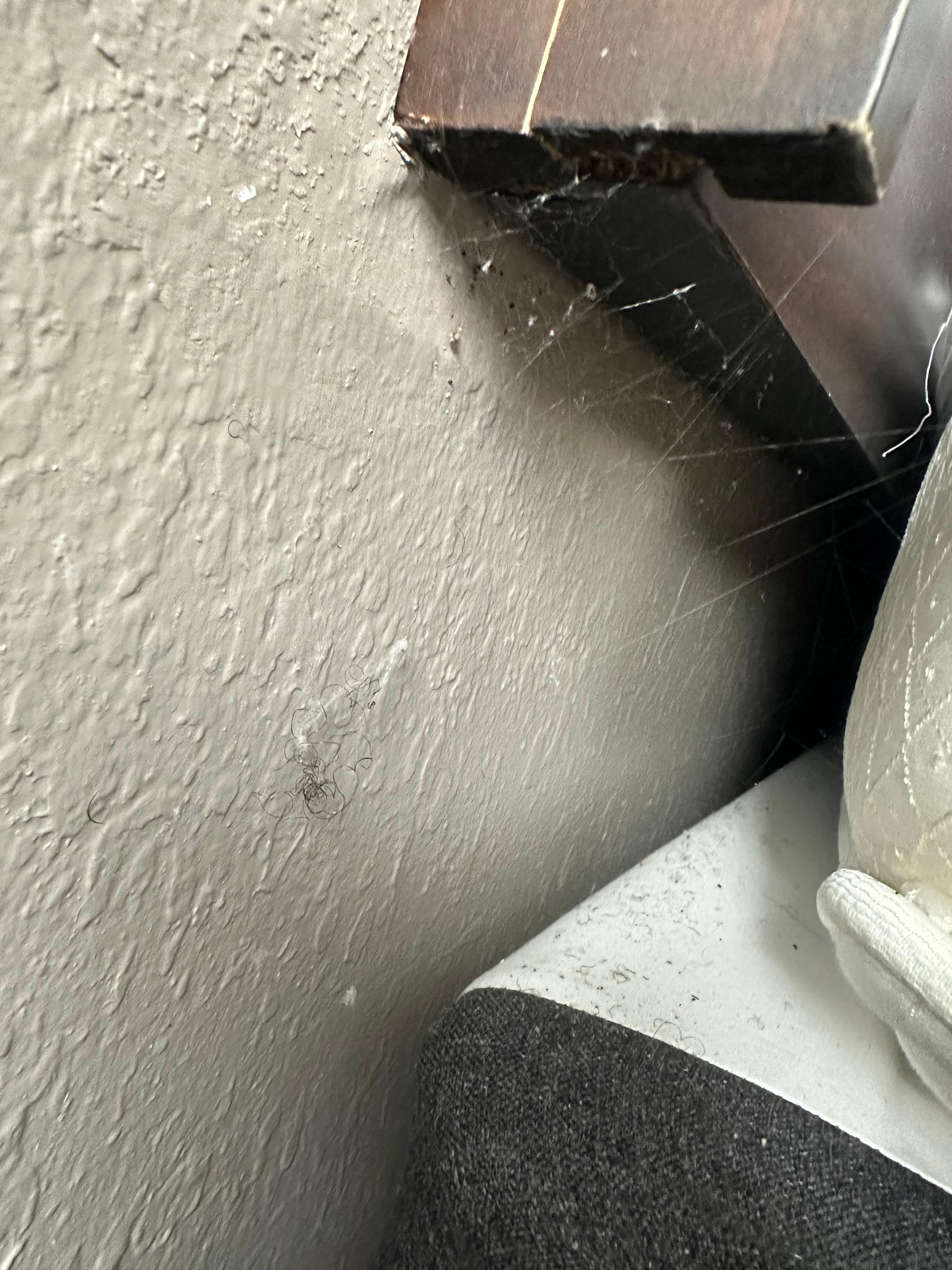 Unacceptable. I don’t think they even clean, they just change the sheets