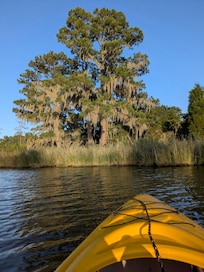 using a guest kayak to explore the creek