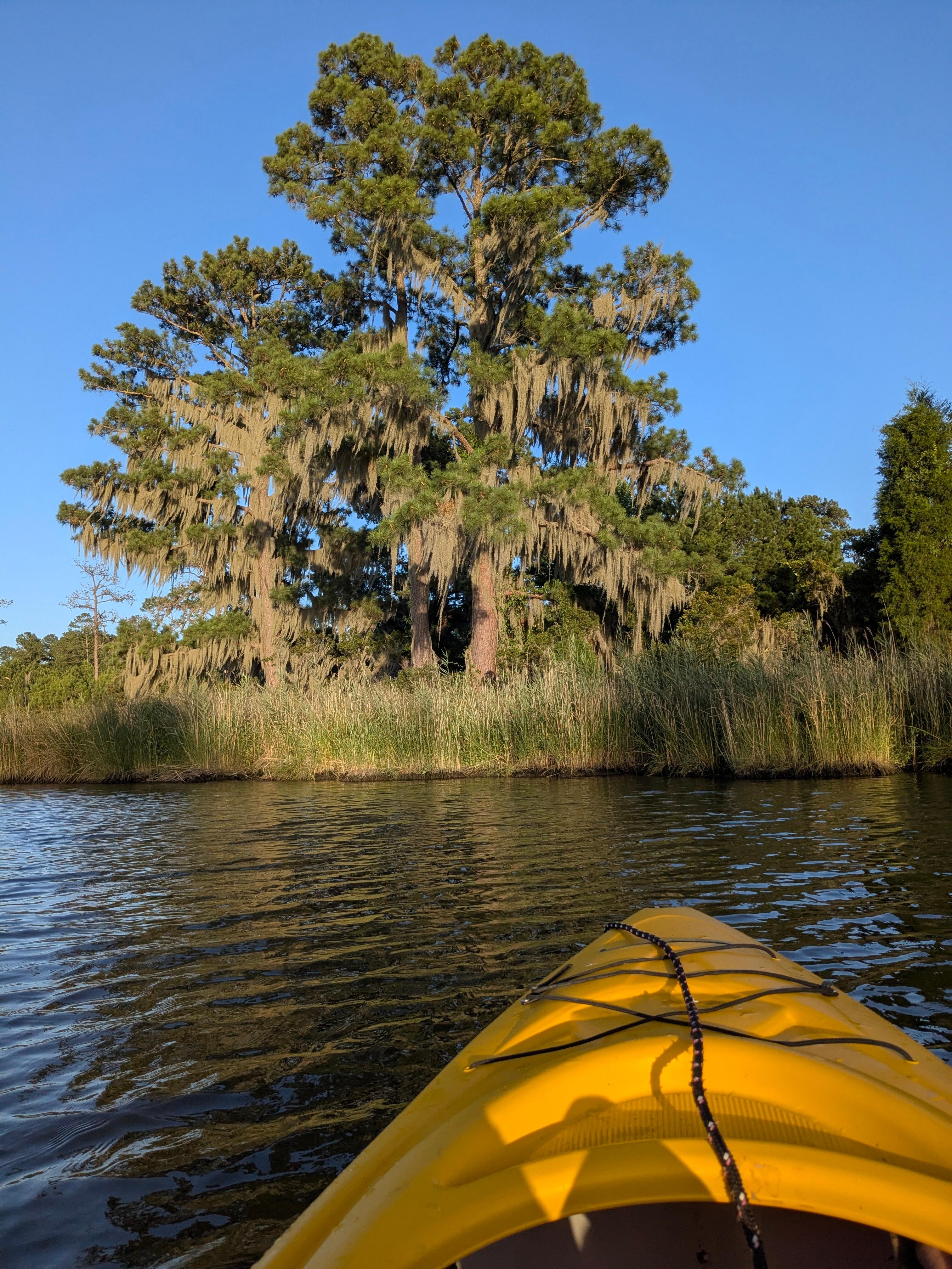 using a guest kayak to explore the creek
