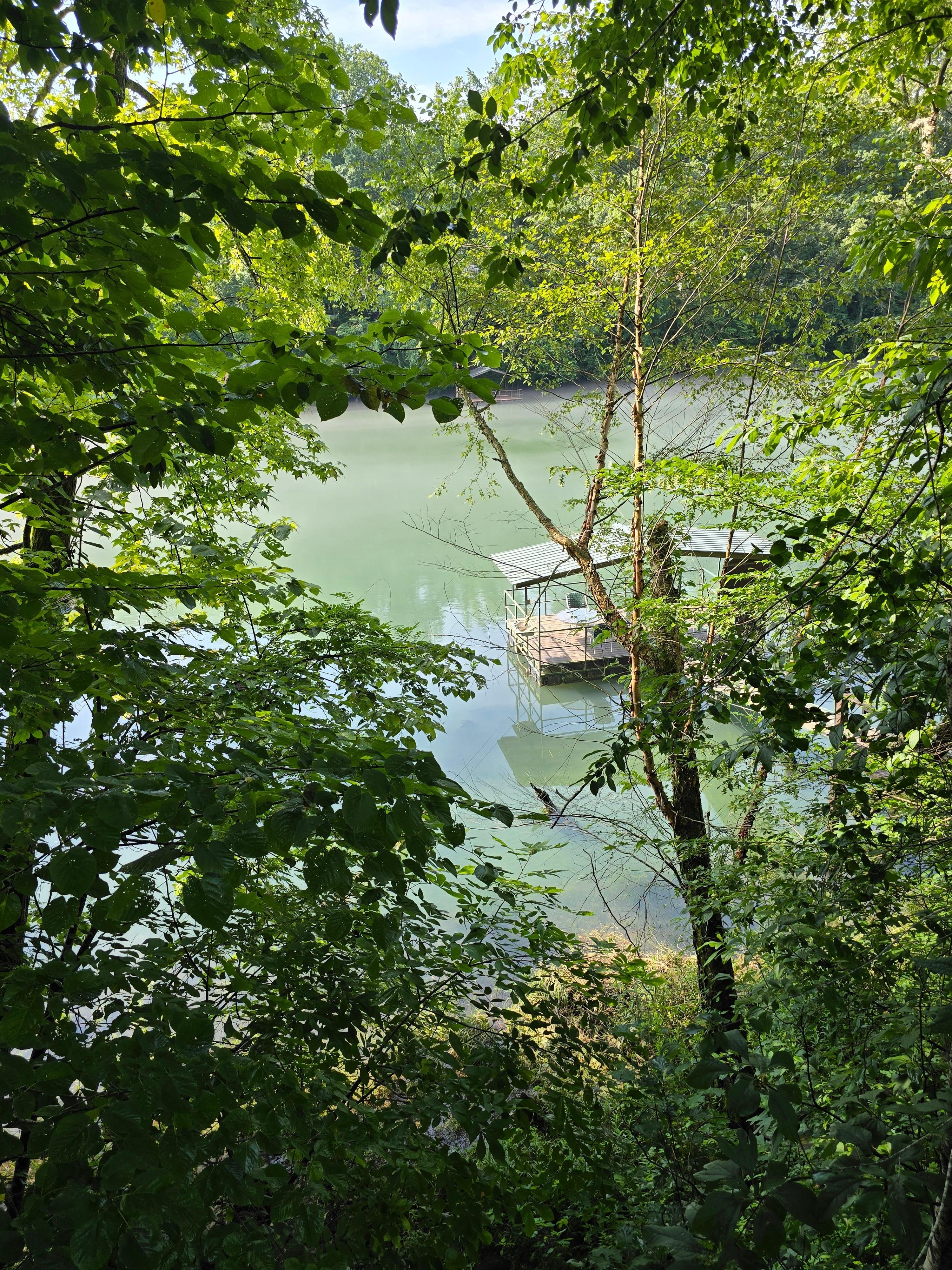 Sitting on the back deck. 