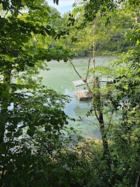Sitting on the back deck.