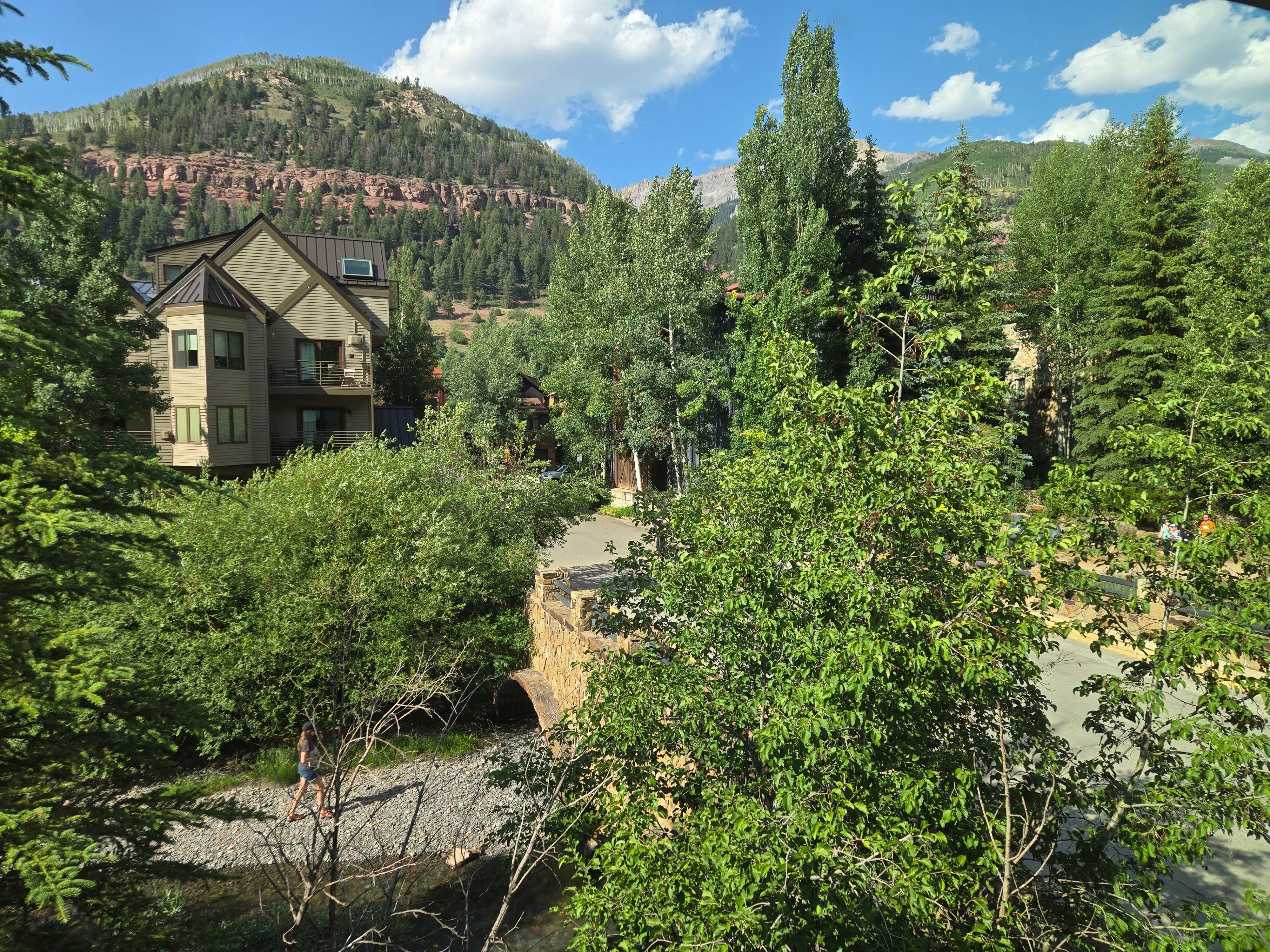 View out of the living room window