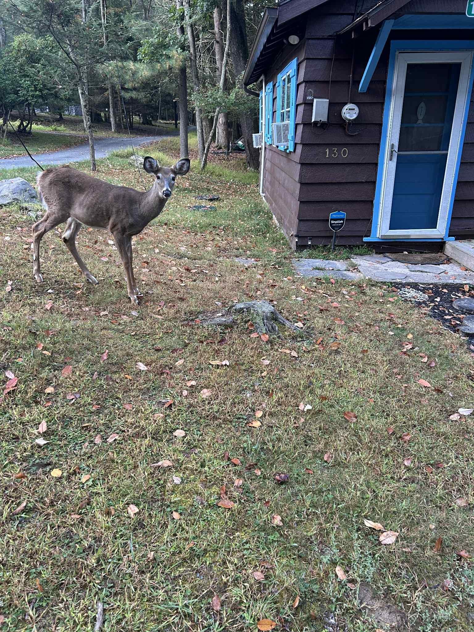 Guest at the front door