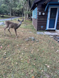 Guest at the front door