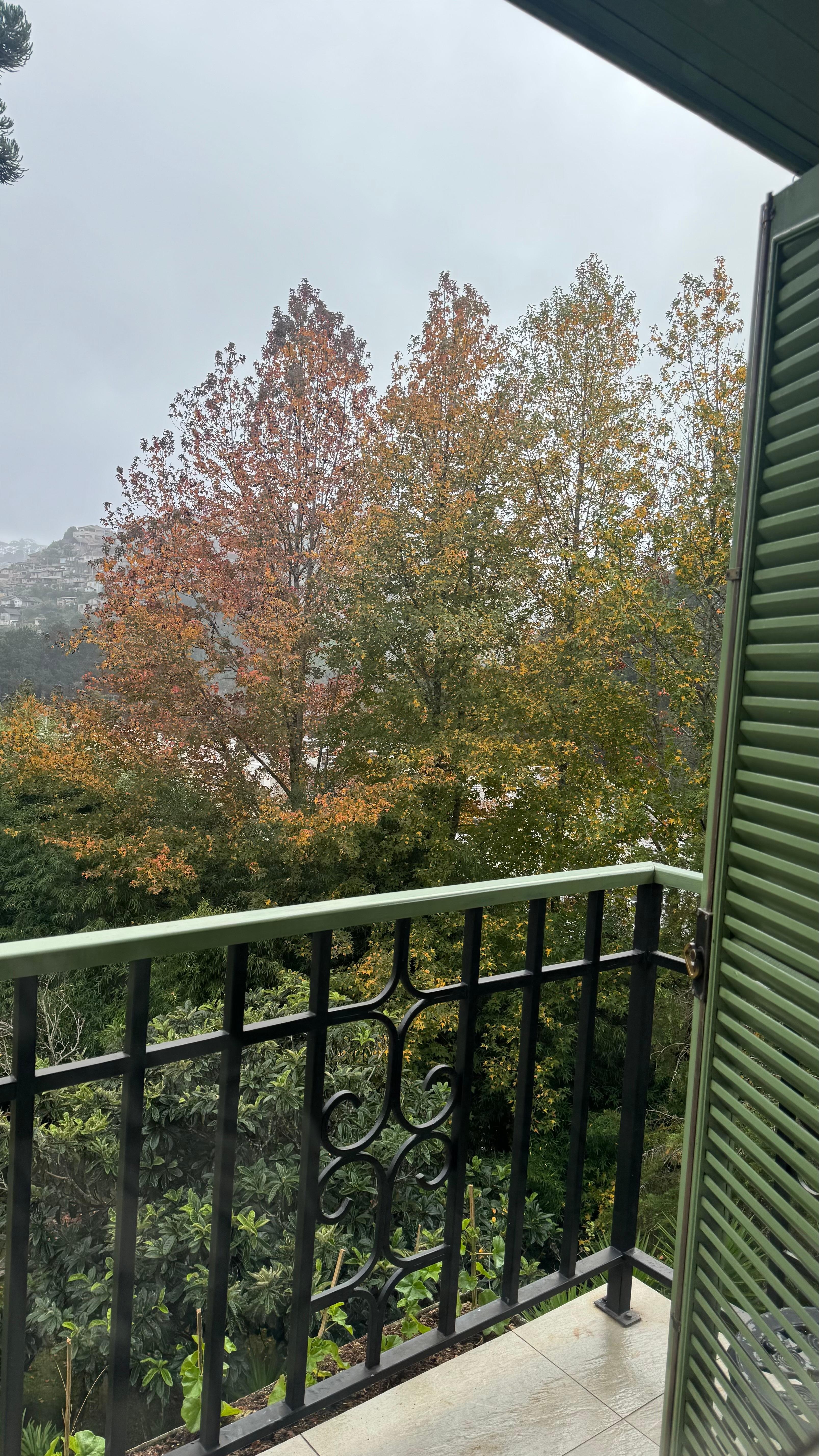 Vista 