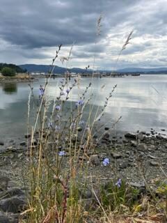 North Saanich