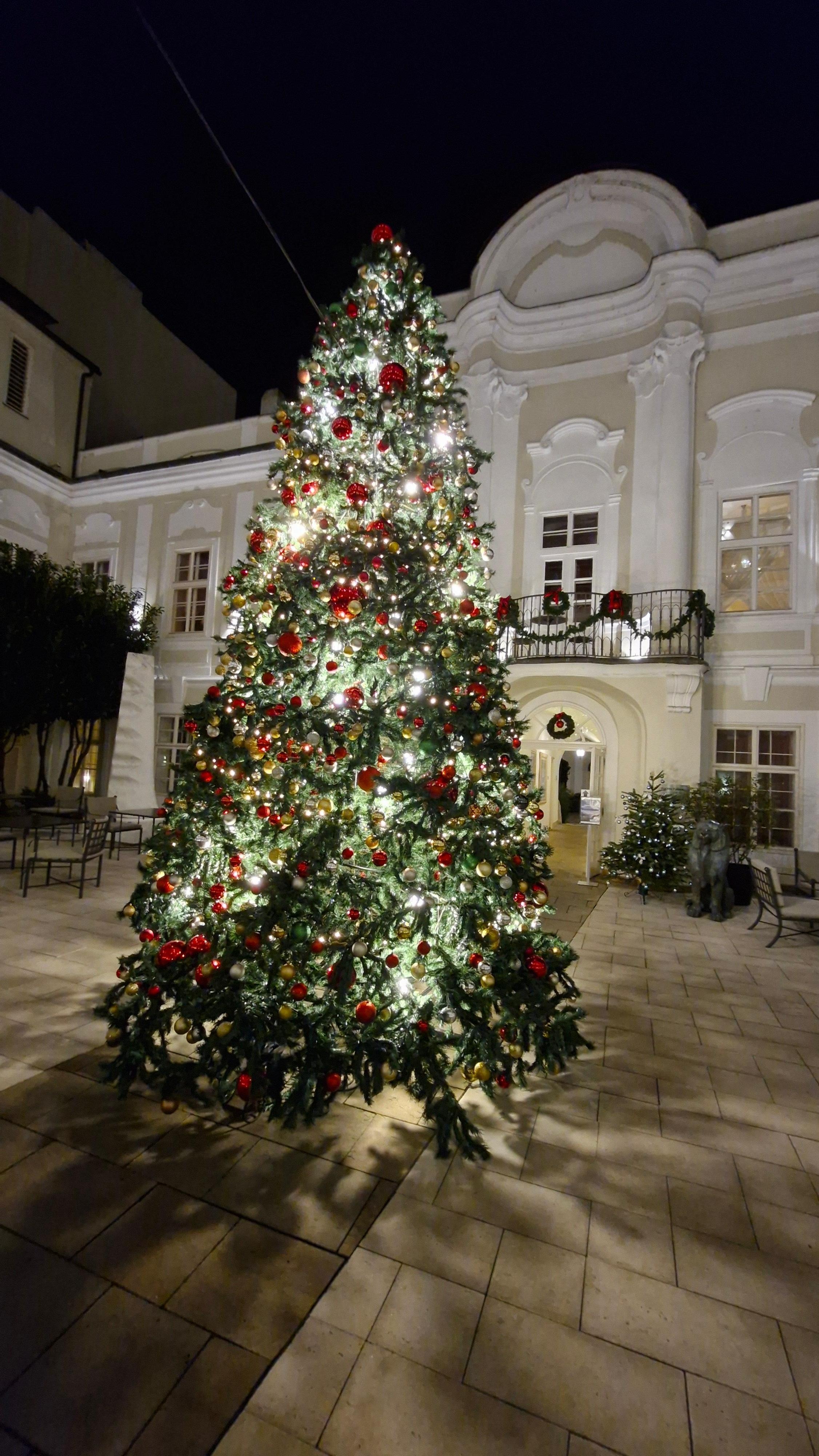 The Christmas decorations within the hotel were beautiful 
