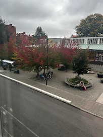 View from my room