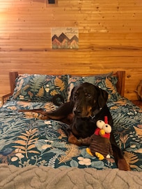 Barry loved the cozy cabin