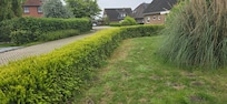 Garten (seitlich)
