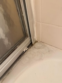 Mold in shower crevice