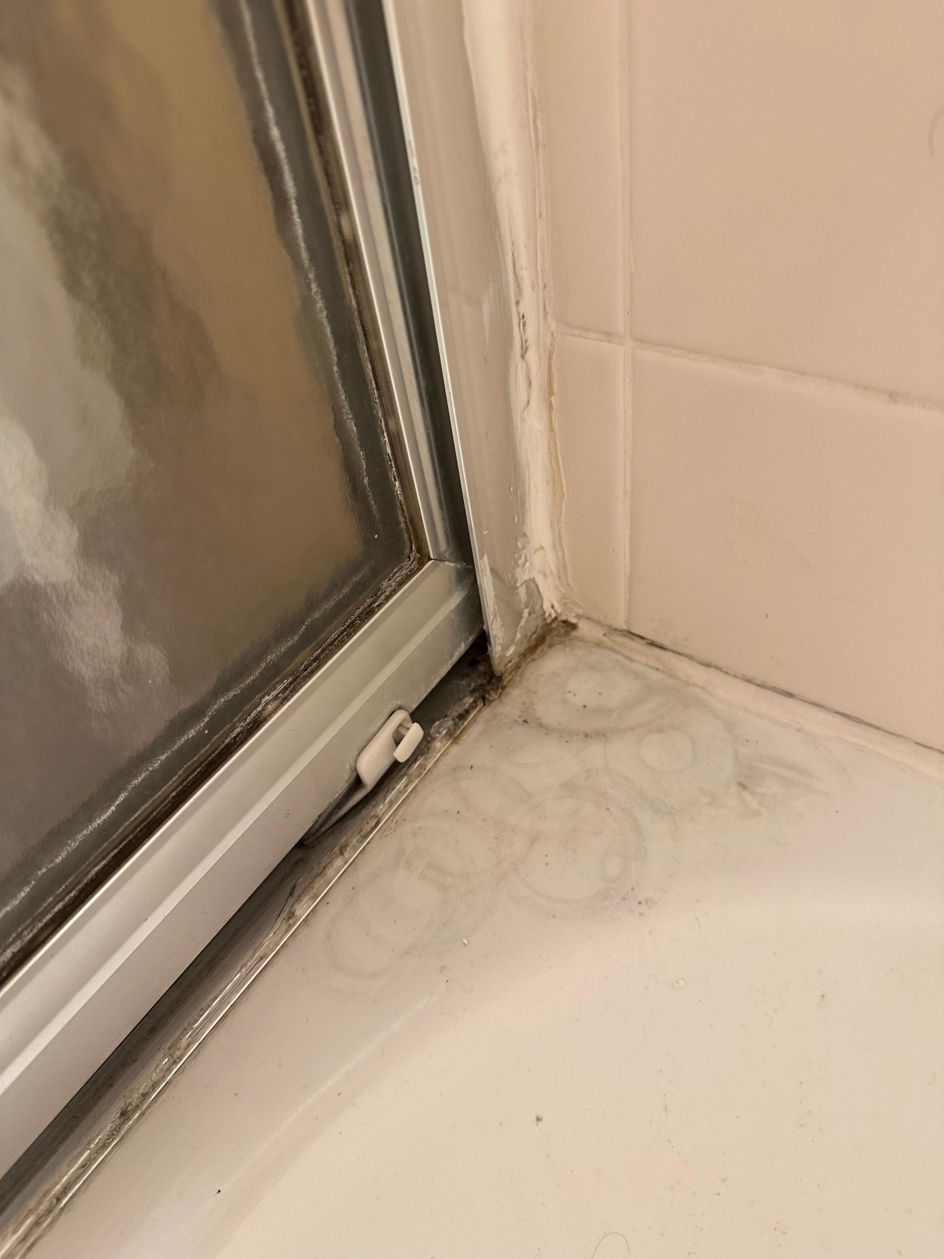 Mold in shower crevice 
