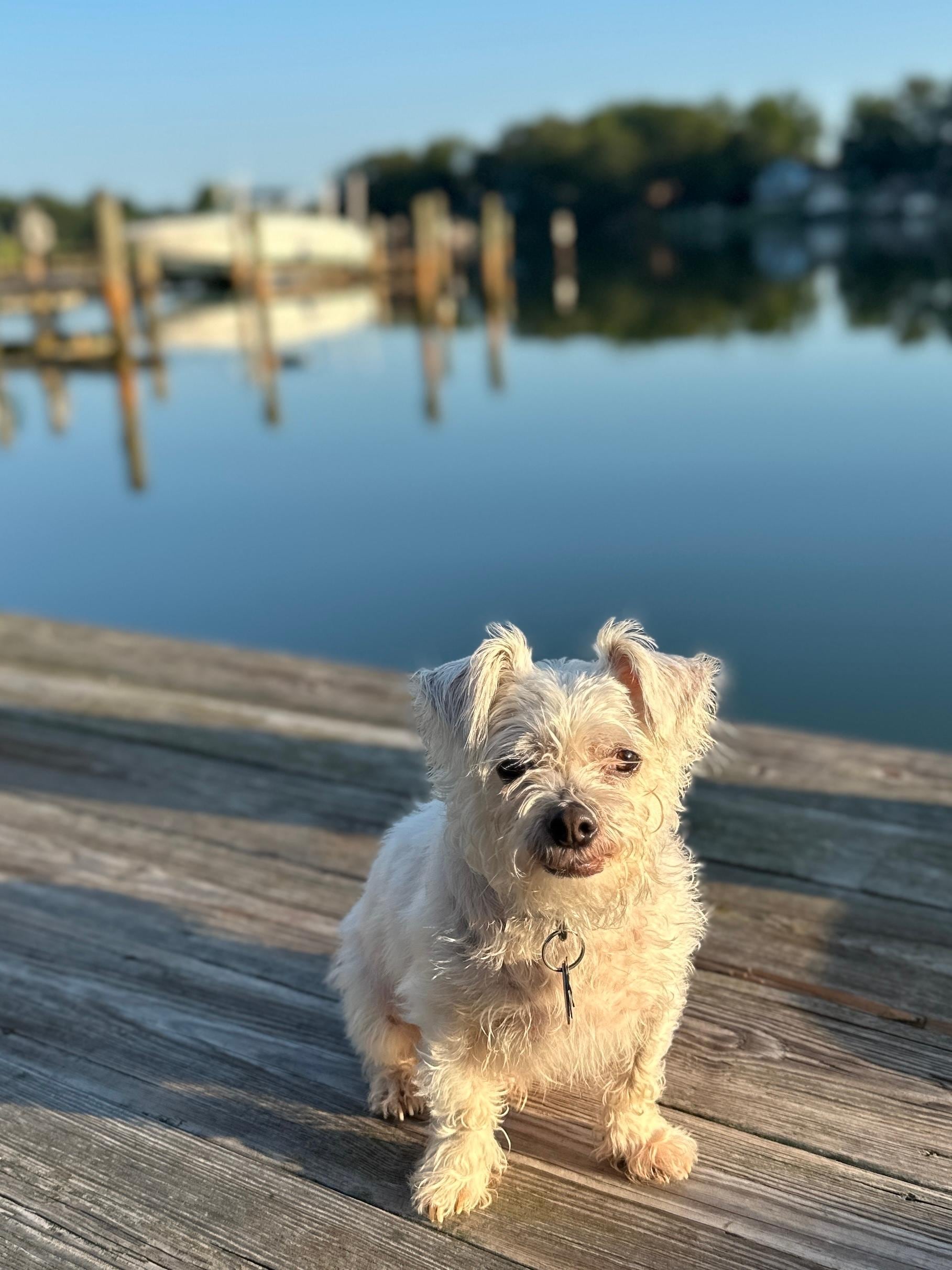 We spent a lot of time on the dock or patio enjoying the view. 