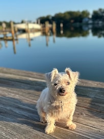 We spent a lot of time on the dock or patio enjoying the view.