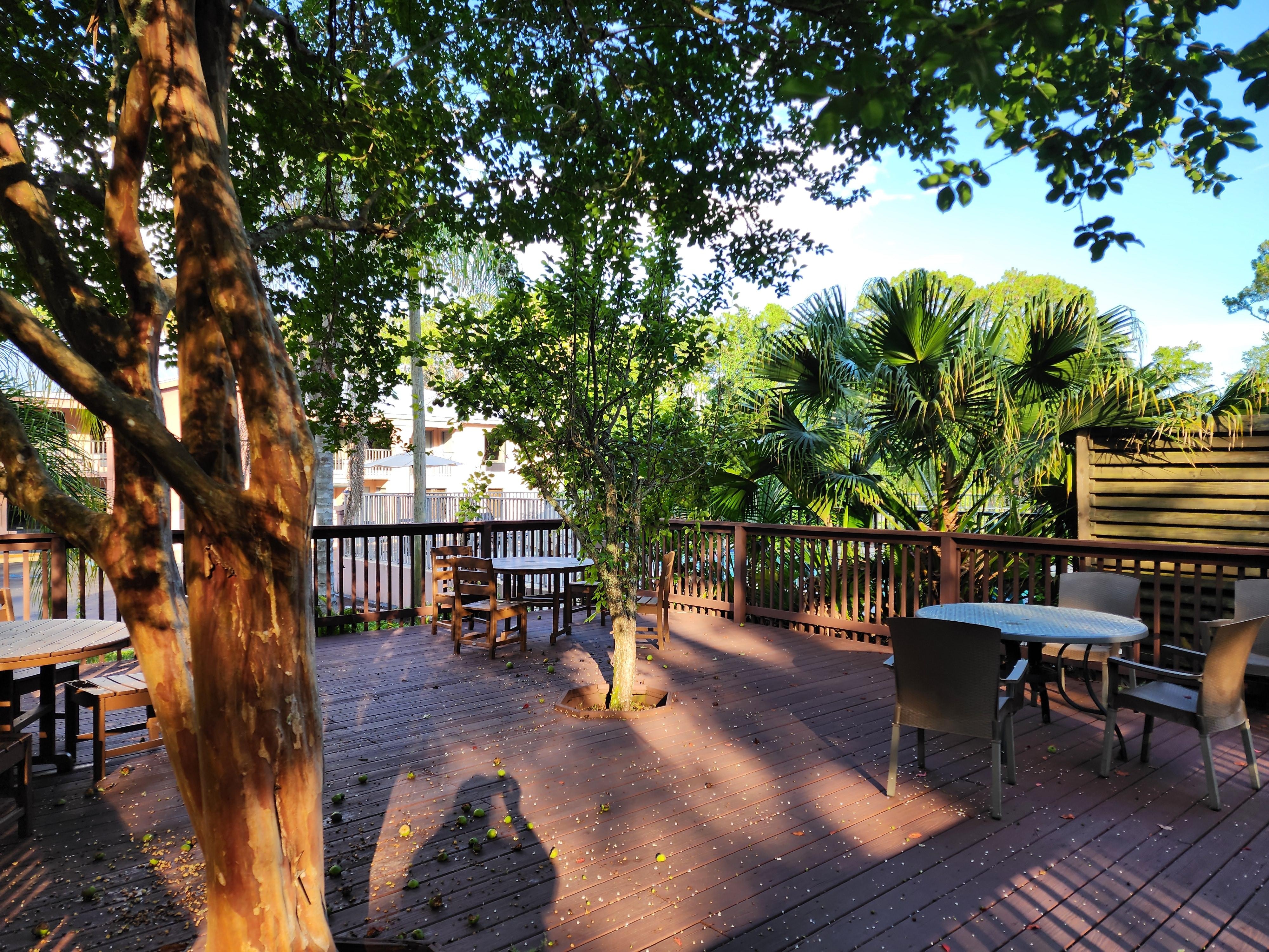 Picnic area