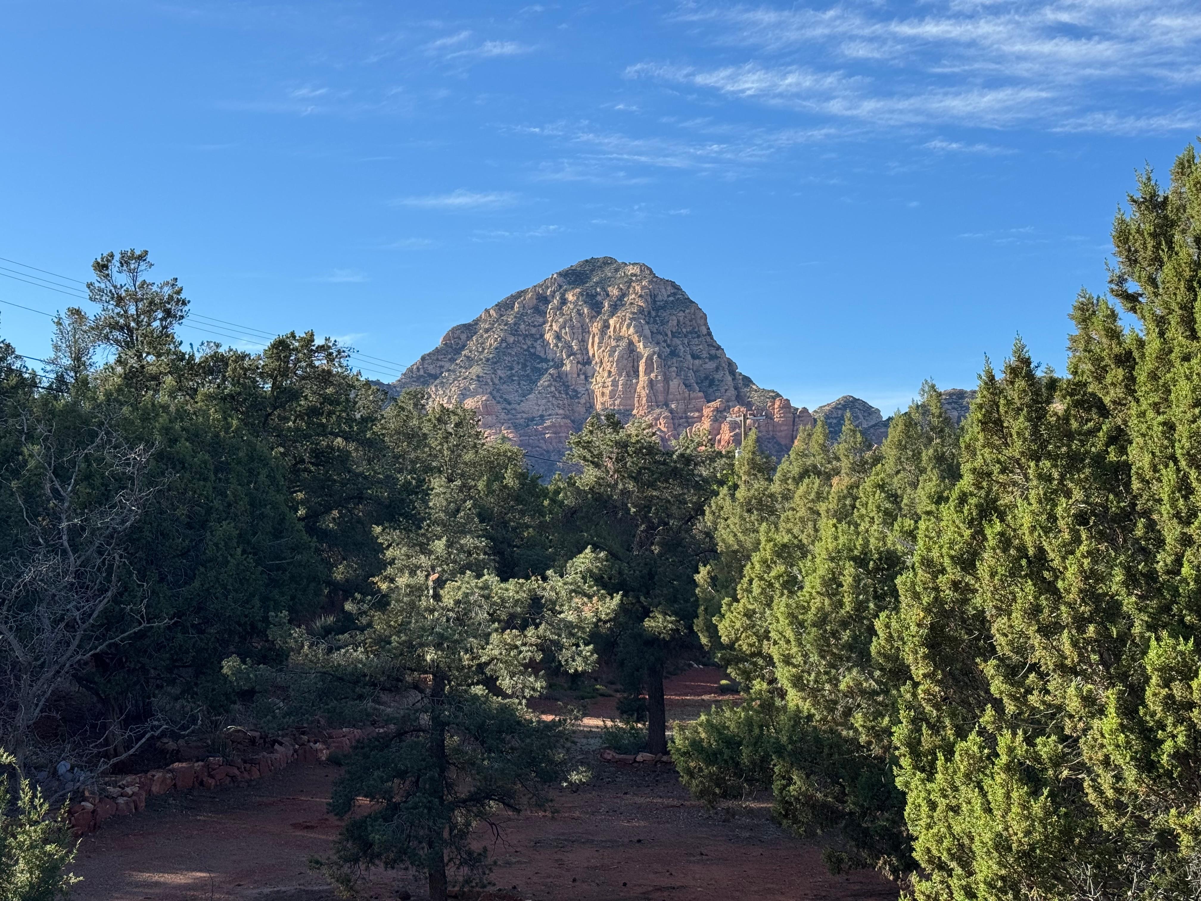 The view from the back porch.