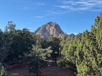 The view from the back porch.