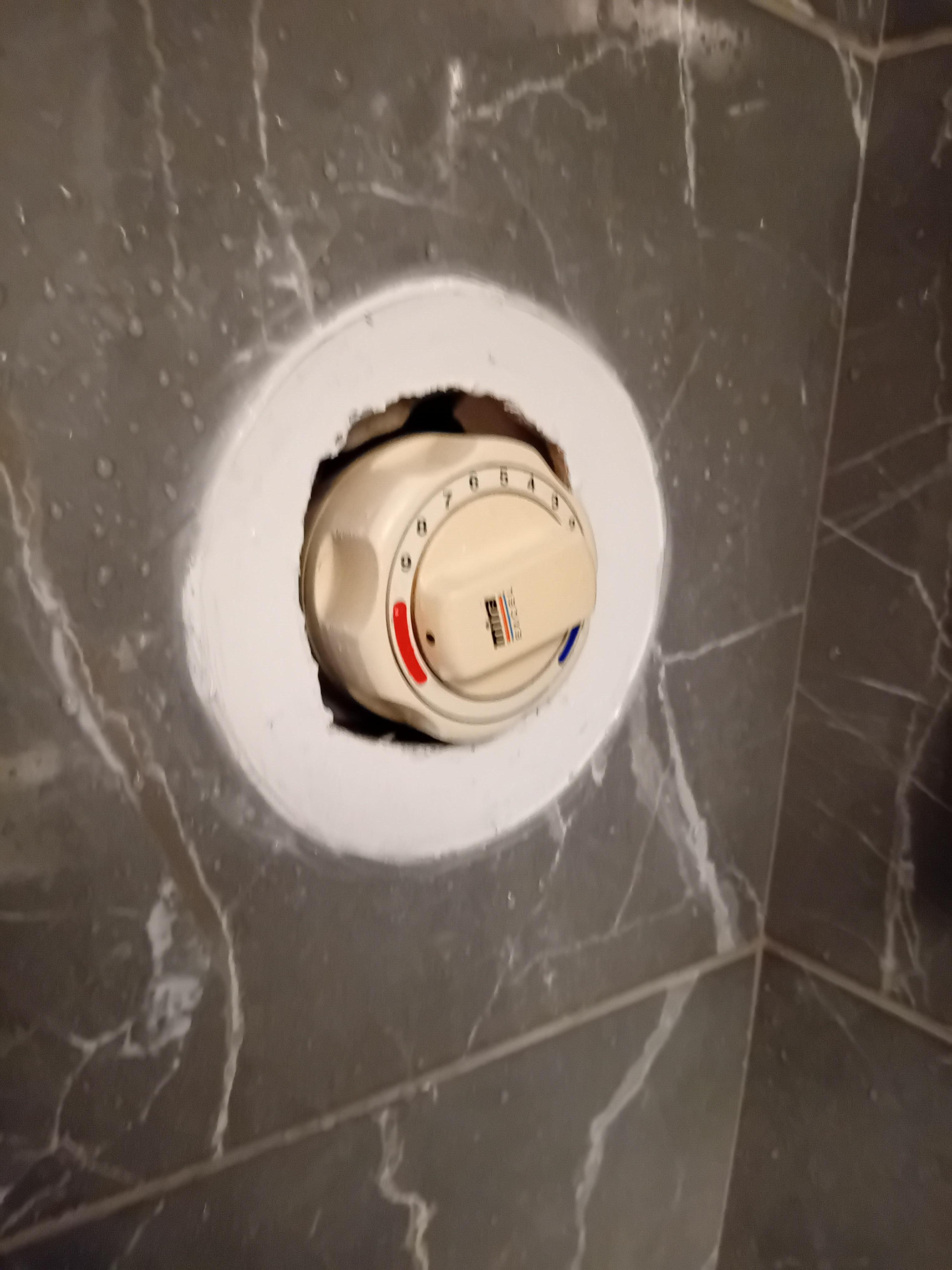 Shower dial. No proper housing, wobbled when turned
