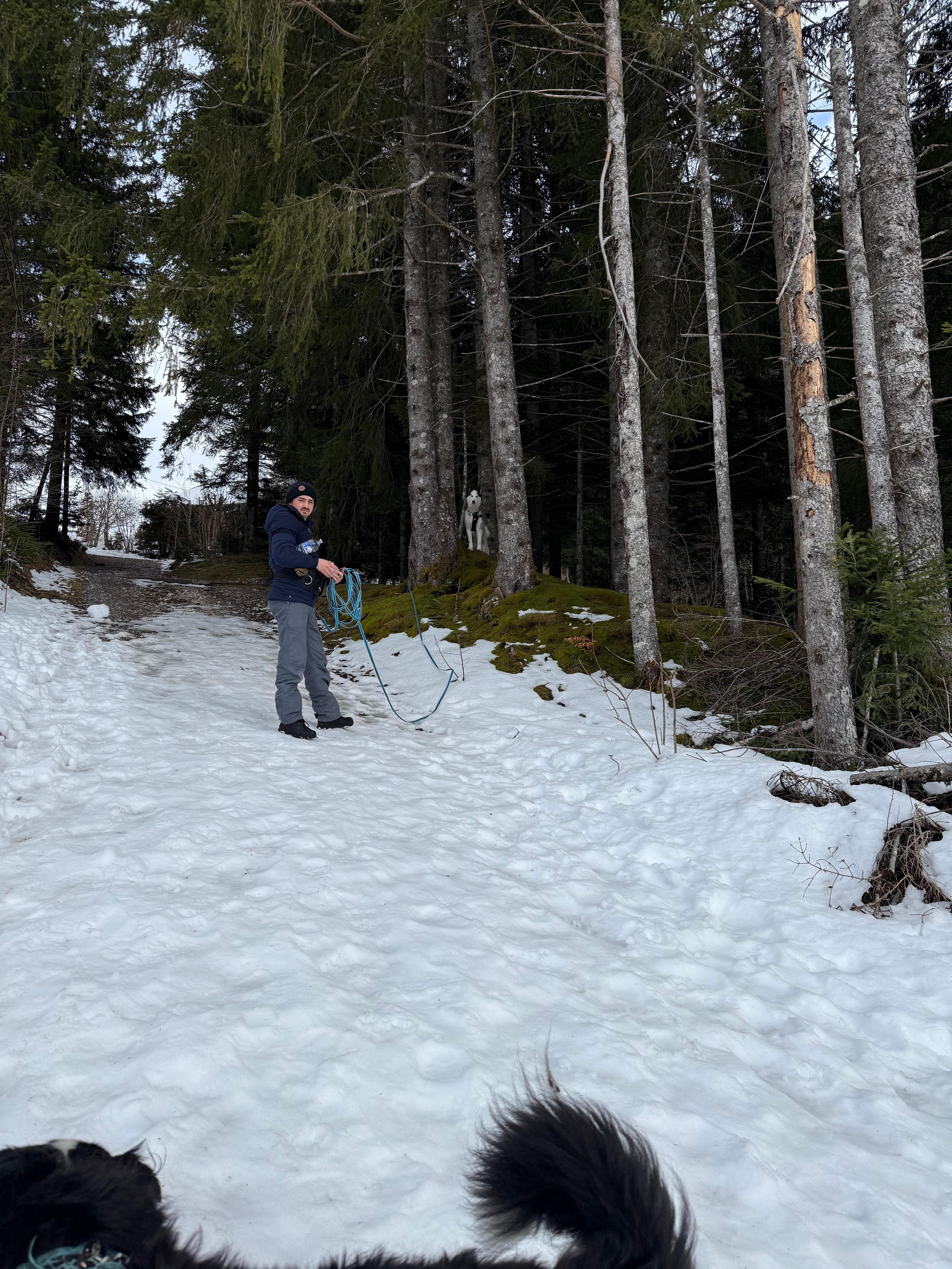 Montée sortie du chalet pour aller au parking du col du corbier au restaurant puis faire de la luge.