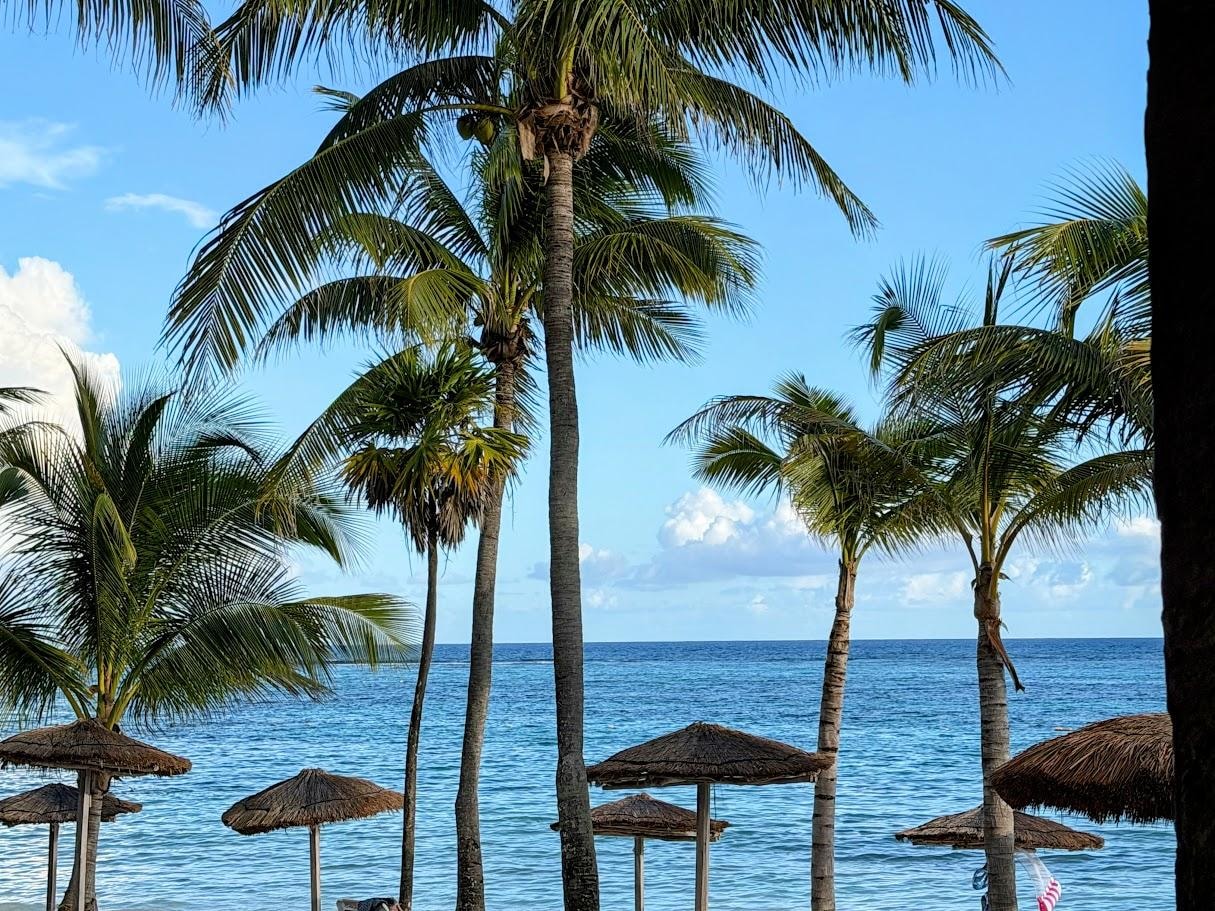 View from our main balcony