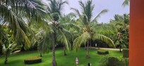 The view outside our family room..