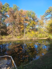 The view across the pond.