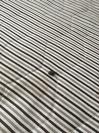 Dead bug on bed