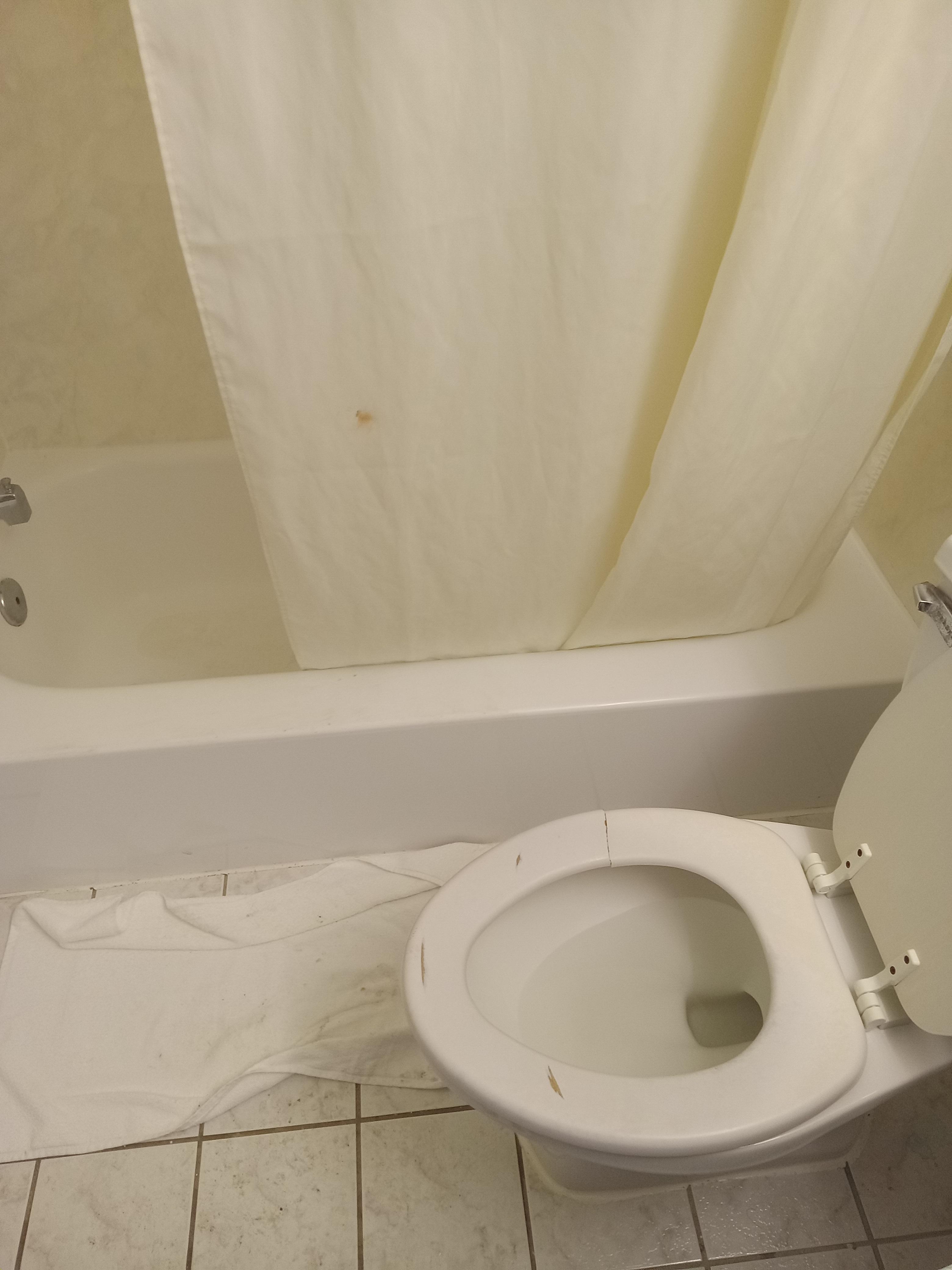 broken seat, stains on shower, dirty tub floor