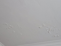 Ceiling paint peeling
