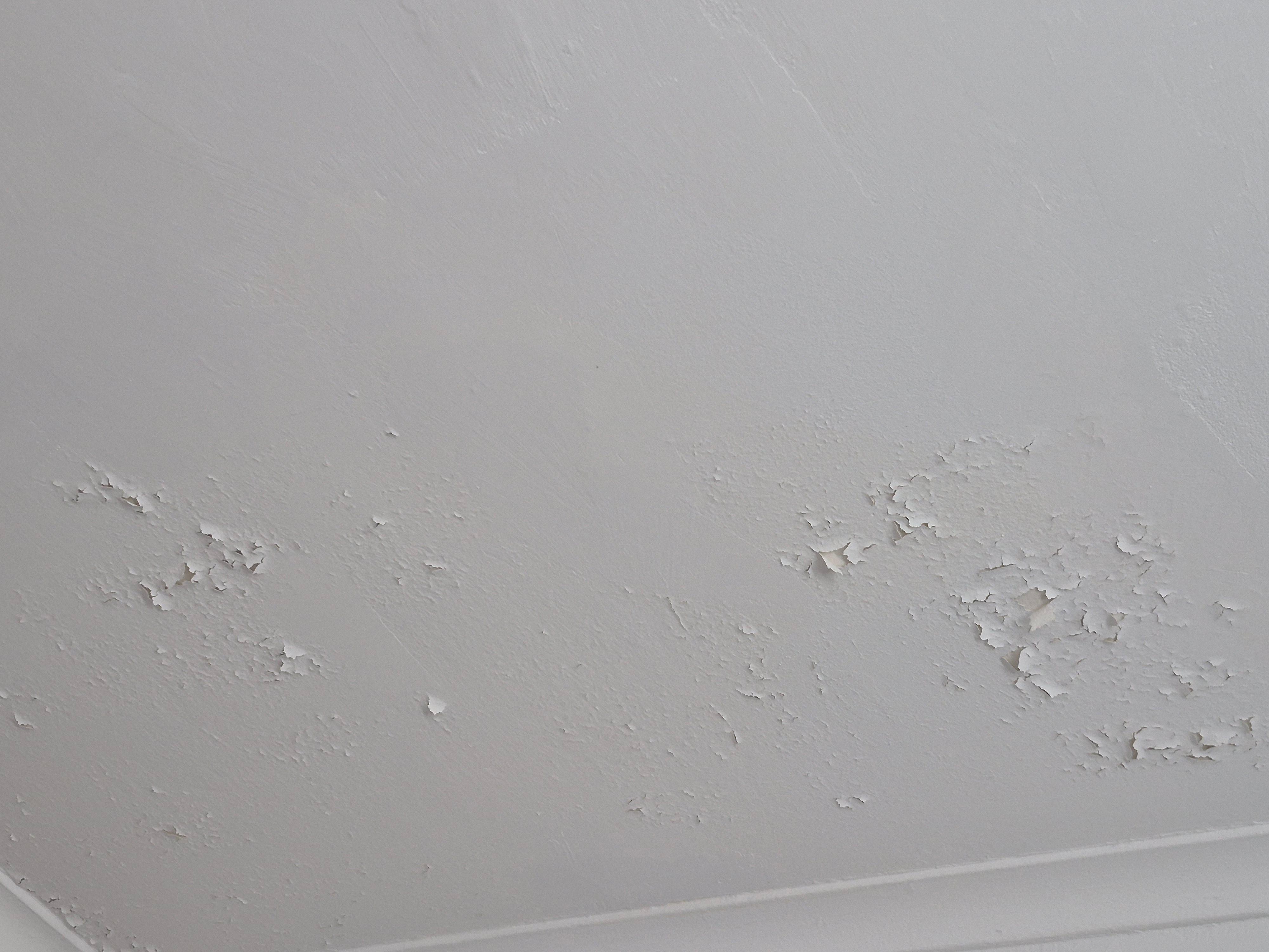 Ceiling paint peeling