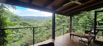 The view