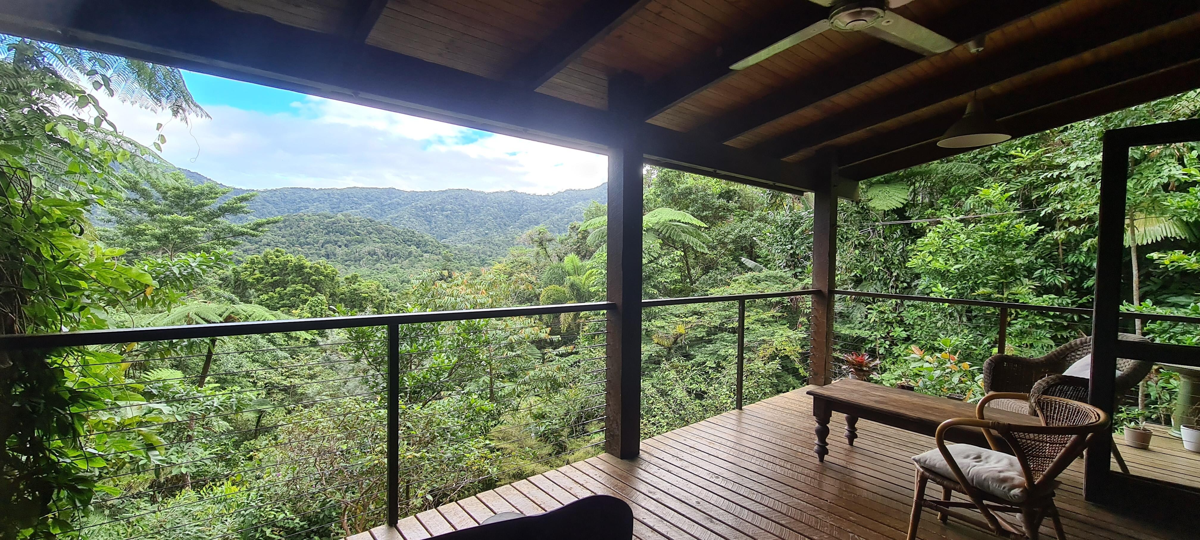 The view