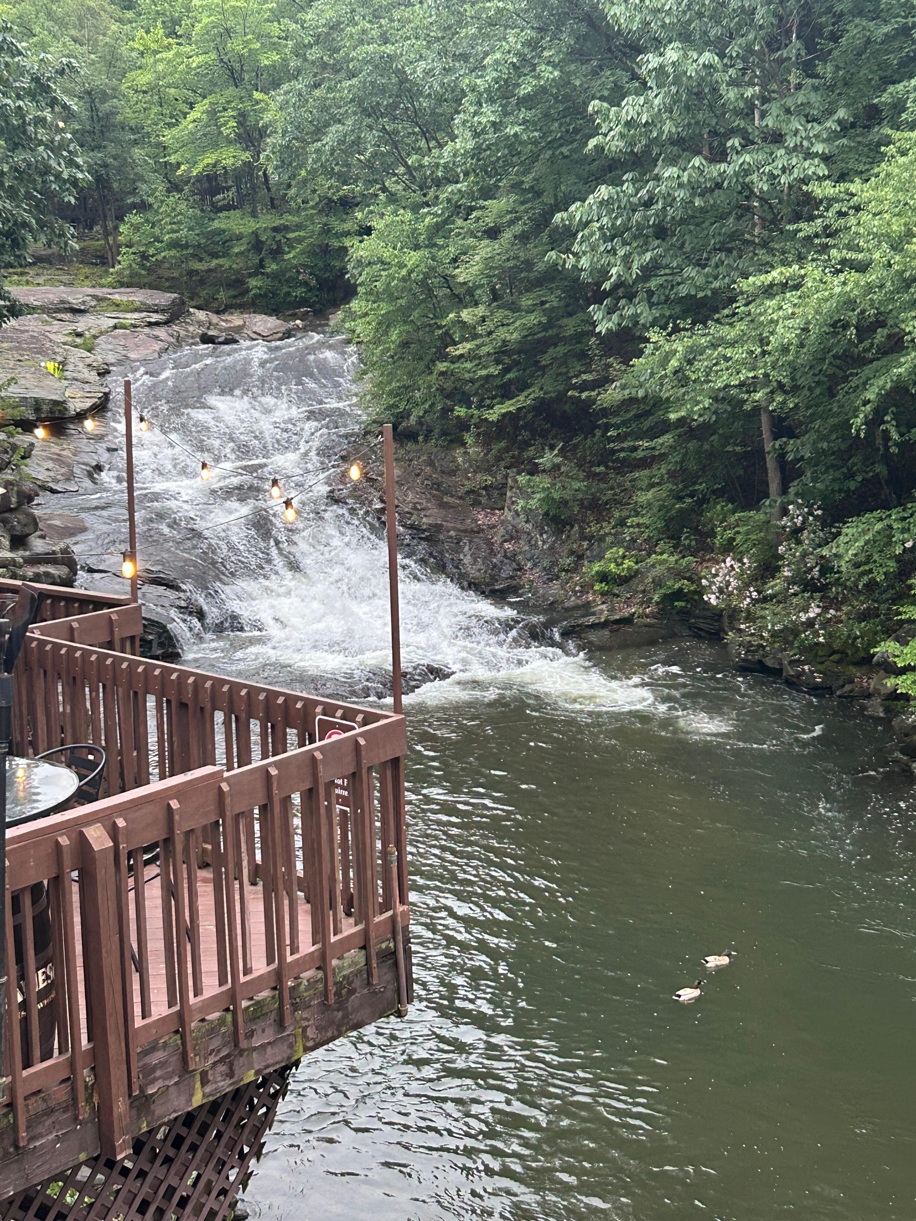 Contemporary Street & Fine Artist LeiA Sands eating breakfast at the waterfalls at the Woodlands Resort Wilkes-Barre, PA.