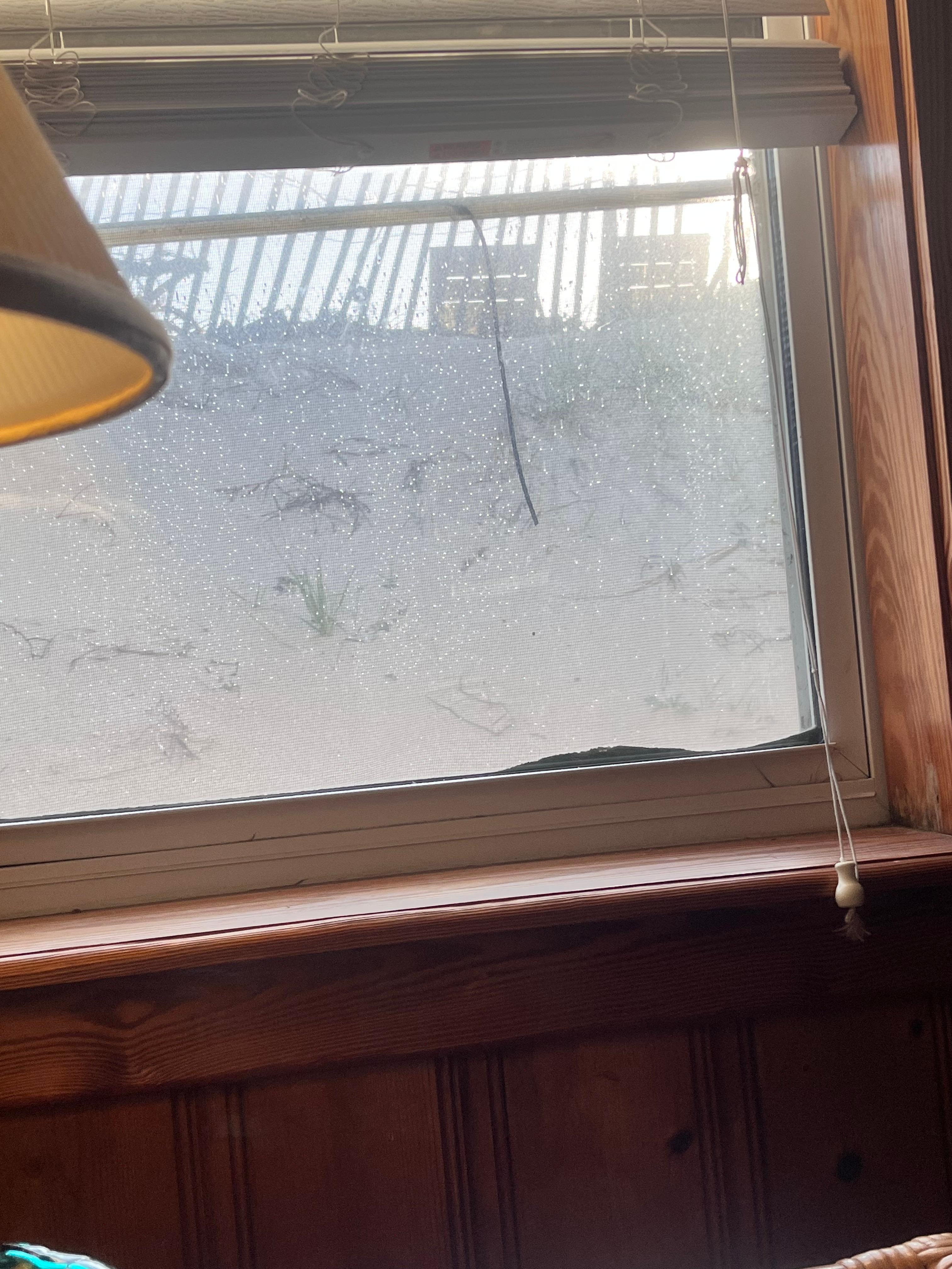 View of dune from living room window 