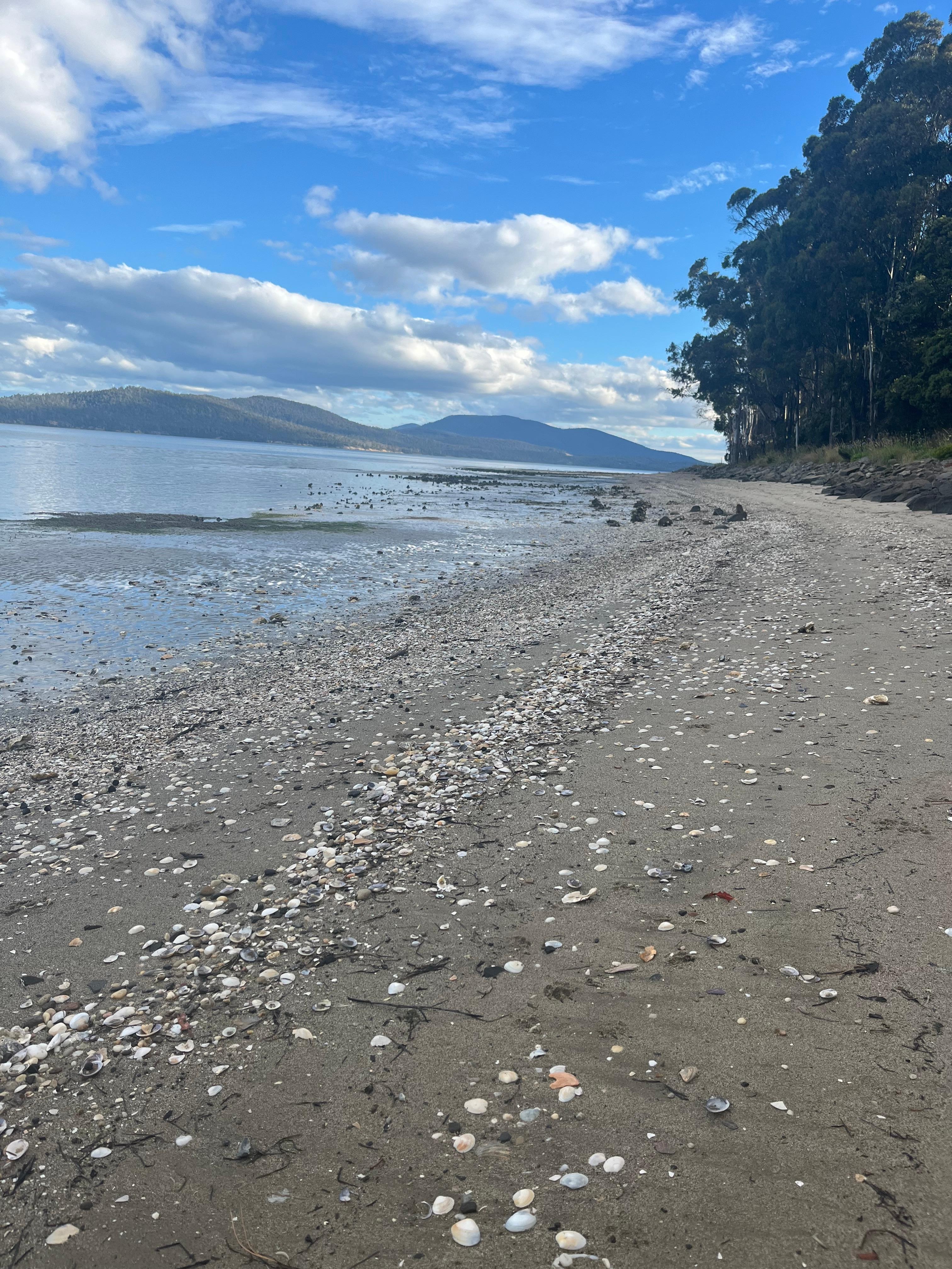 The beach to the right of the house