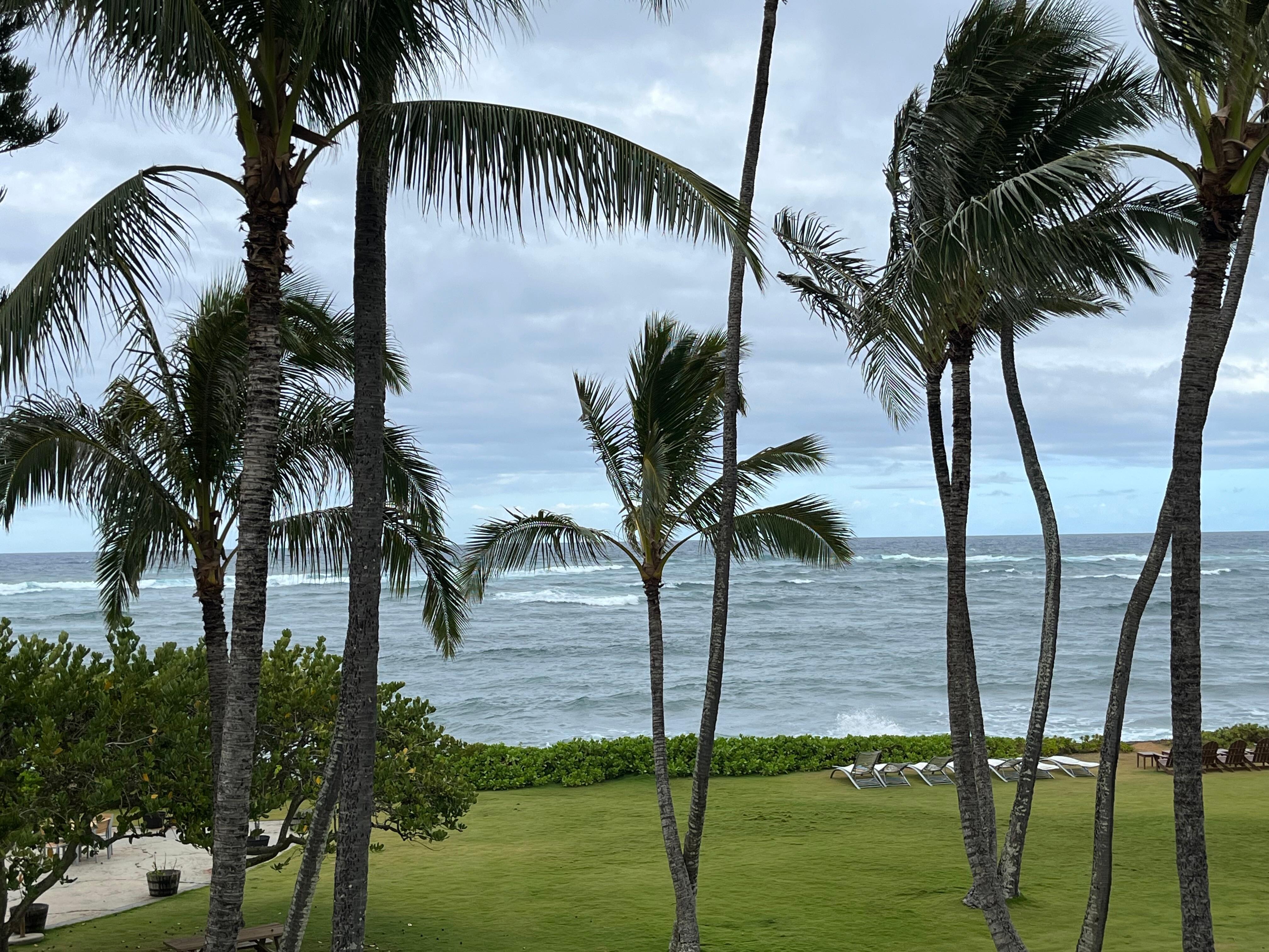 View from our room. 