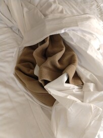 blanket without a cover, only 2 bedsheets