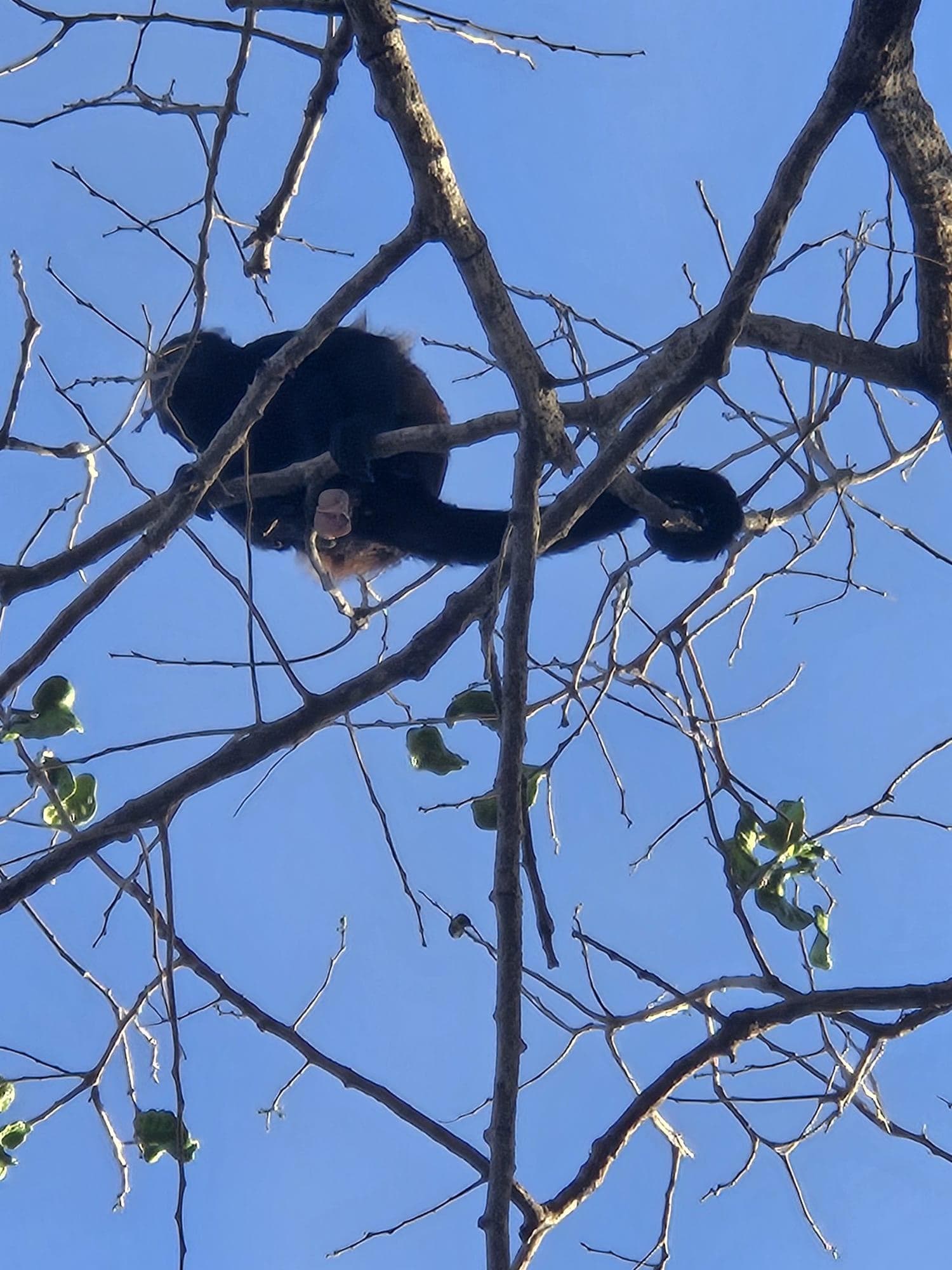 100 yards from our door