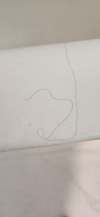 Bathroom dirty and not clean