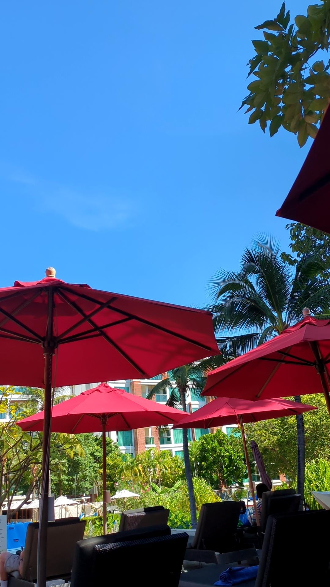 プールは1つだけれど十分な広さ。