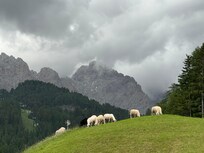 Nearby view