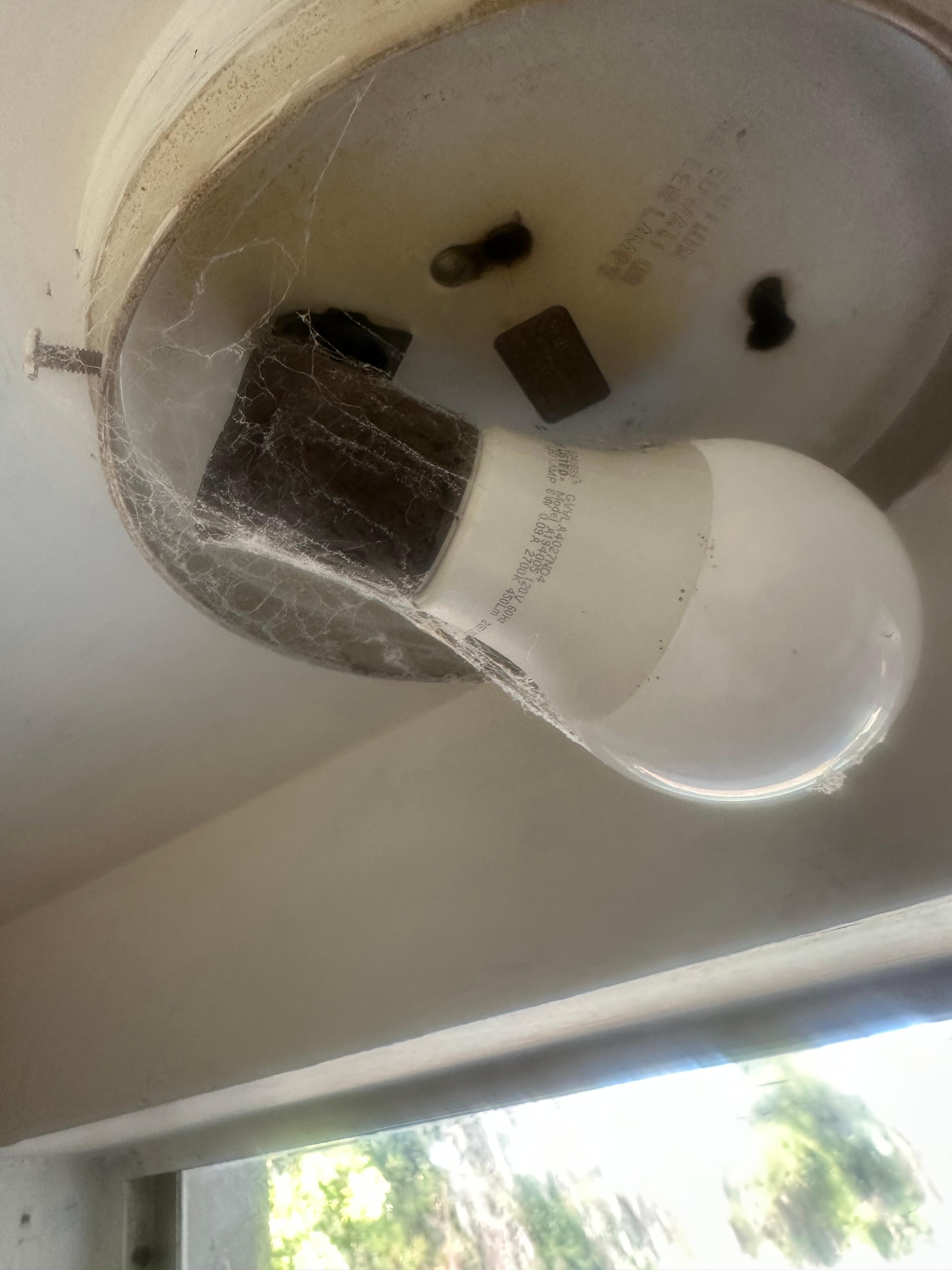 Kitchen light no cover and spider webs