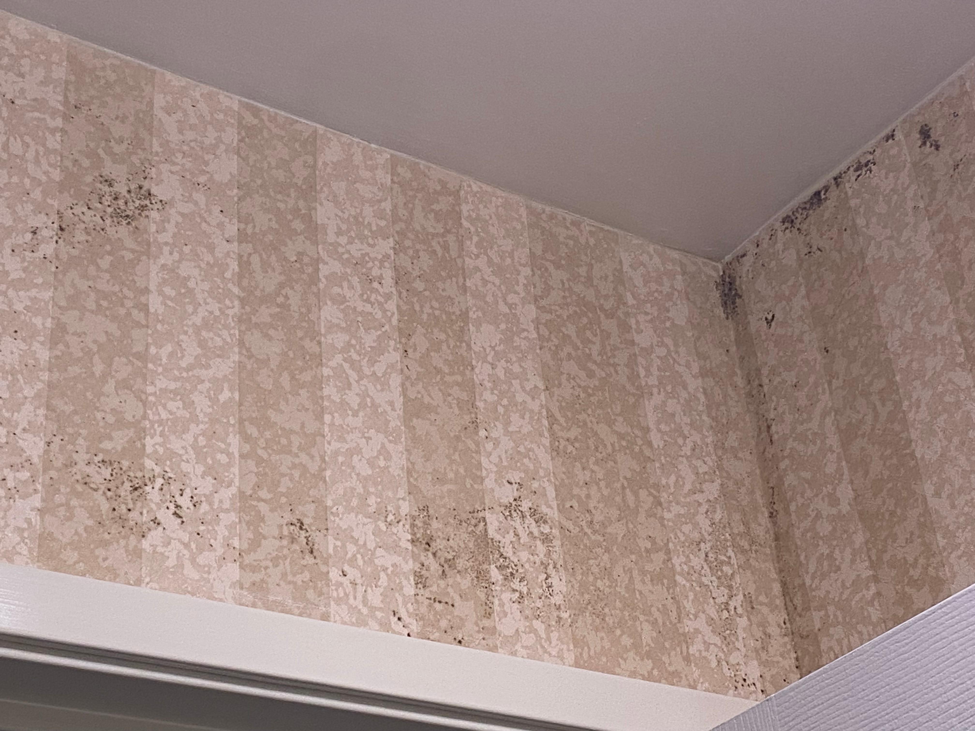 It went from the ceiling to mid way on the wallpaper 