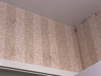 It went from the ceiling to mid way on the wallpaper