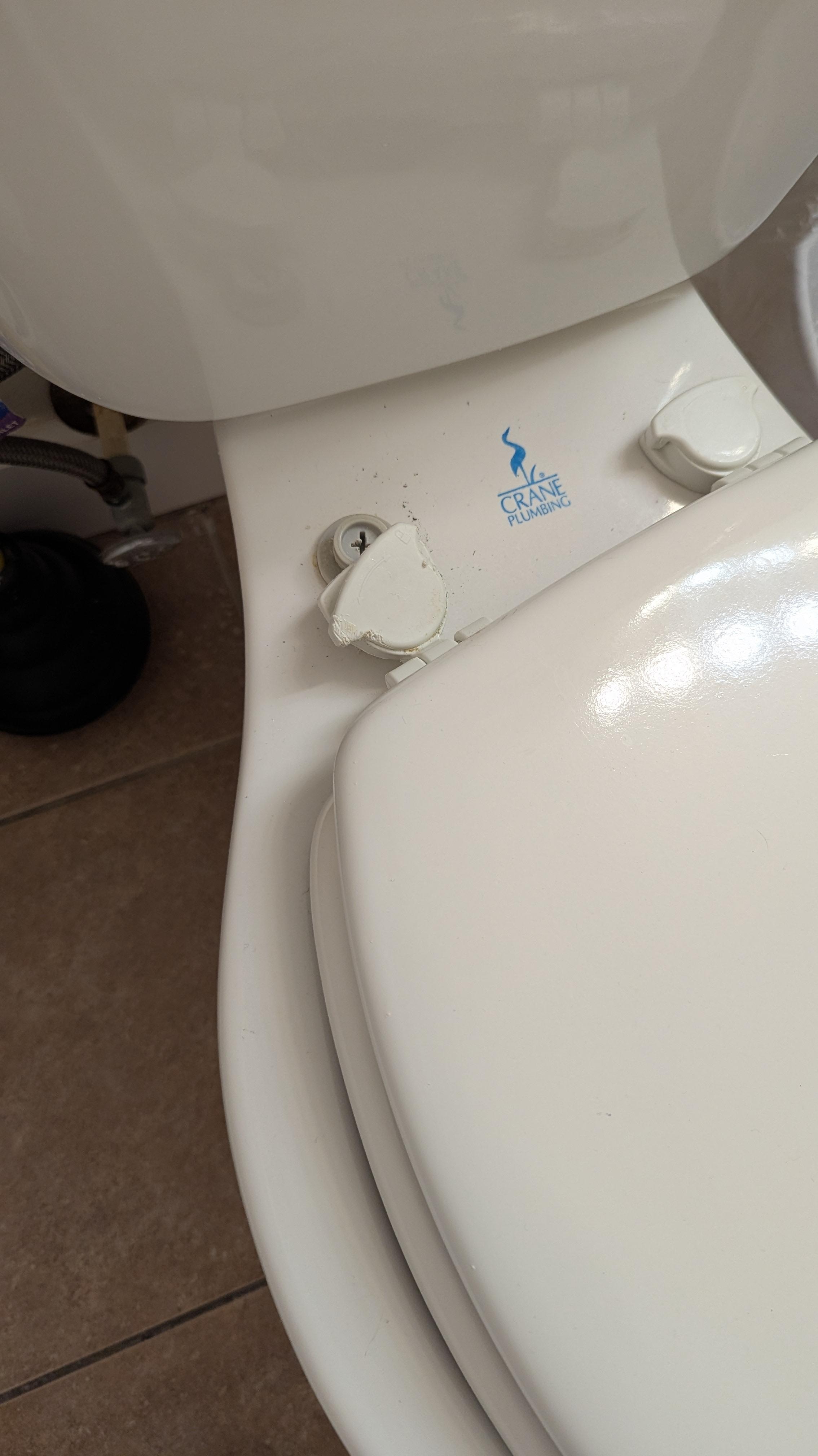 The broken sliding toilet seat that didn't get fixed until week 4 of our 5 week stay.  They did finally replace it.