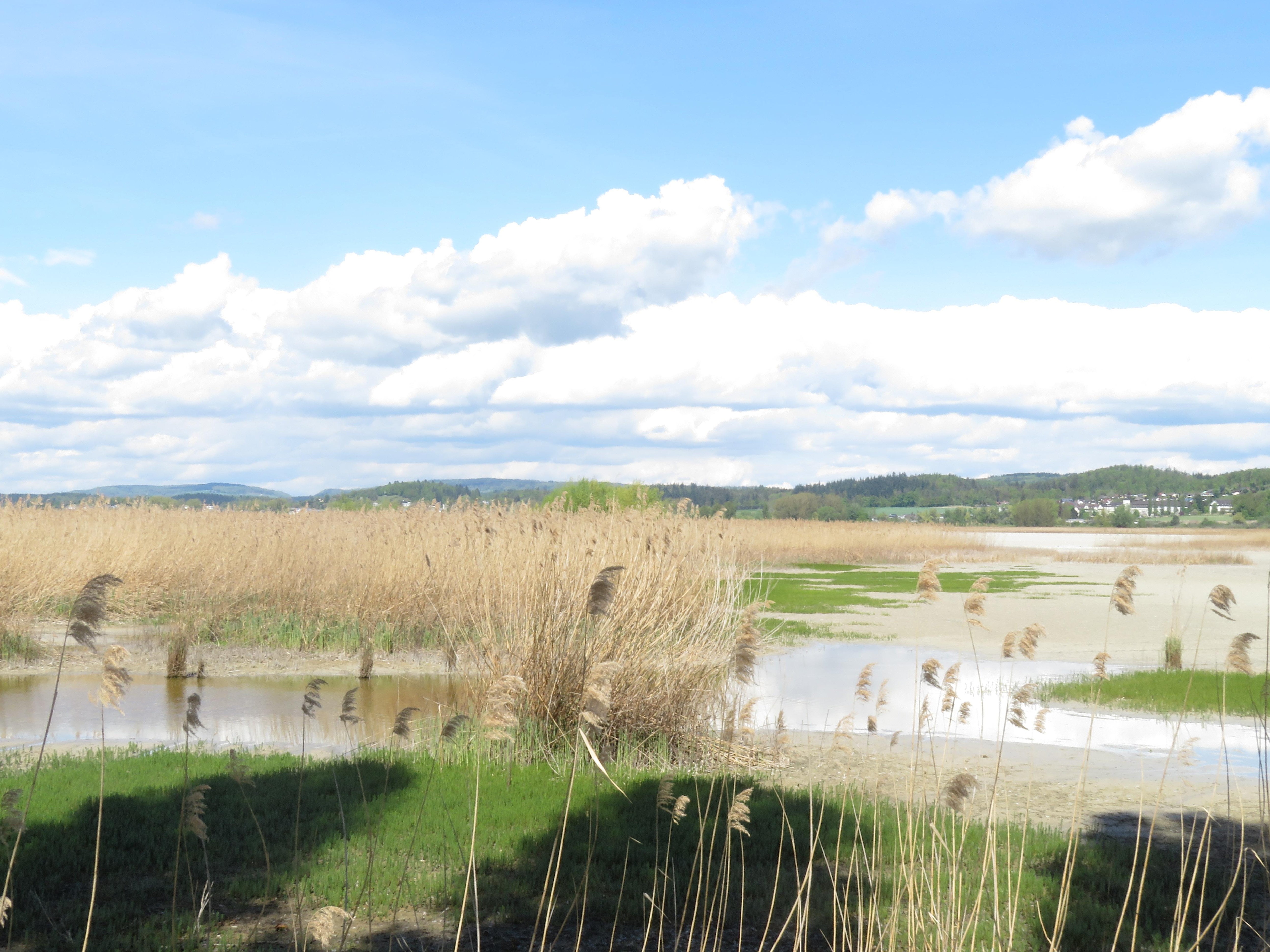 Insel Reichenau