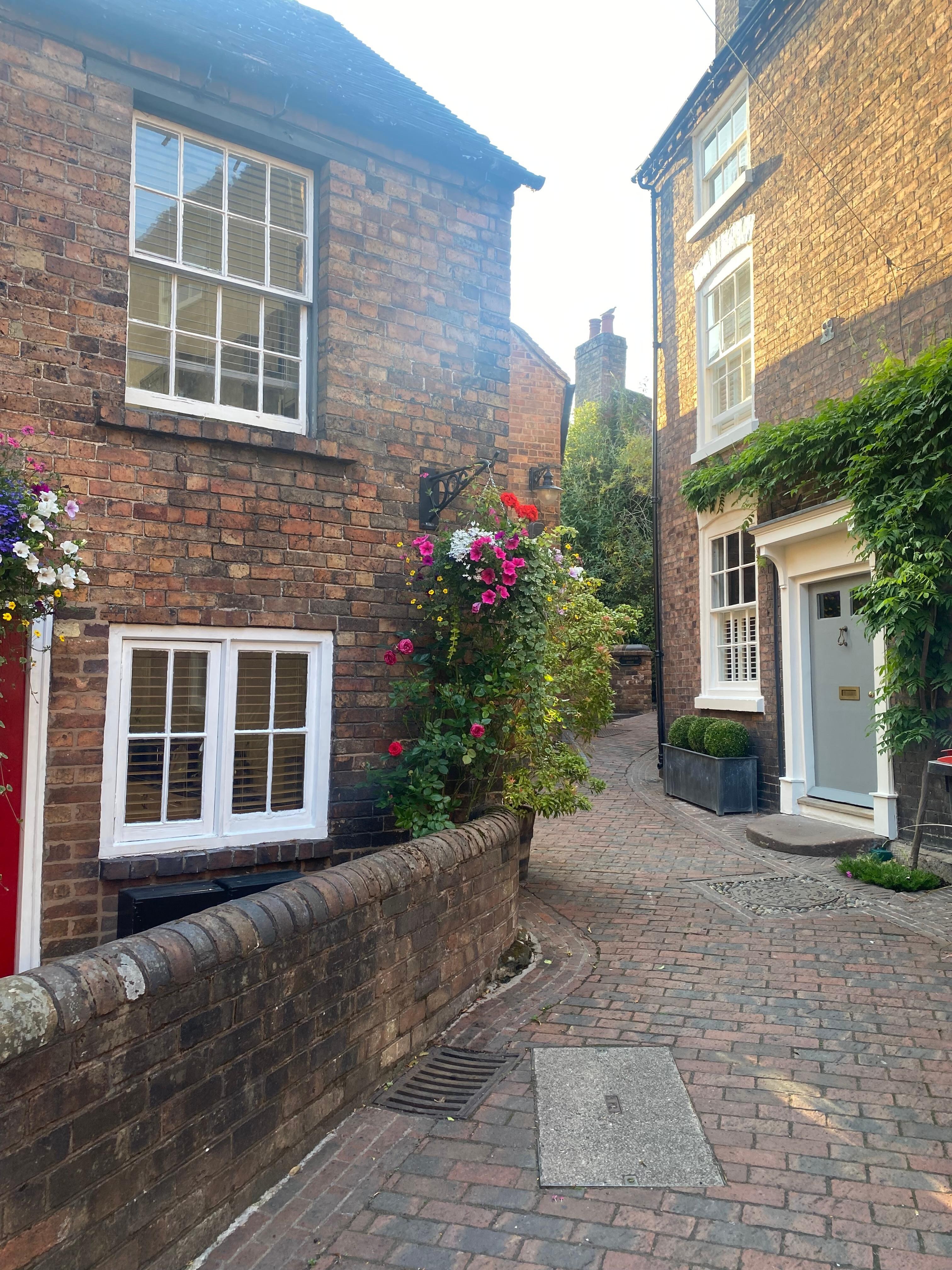 The lane outside the cottage 