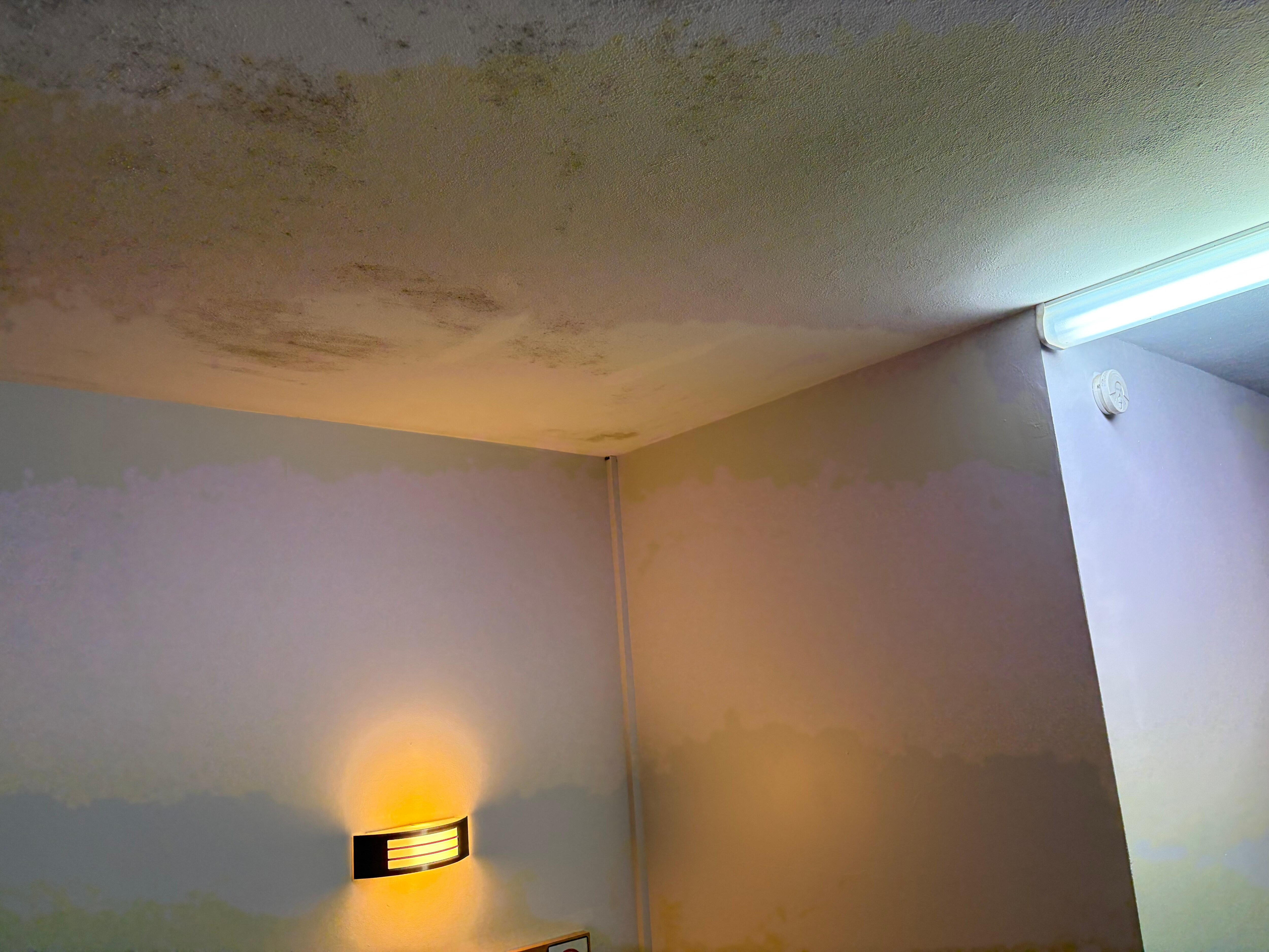 The ceiling is covered in mould above the bed! 
