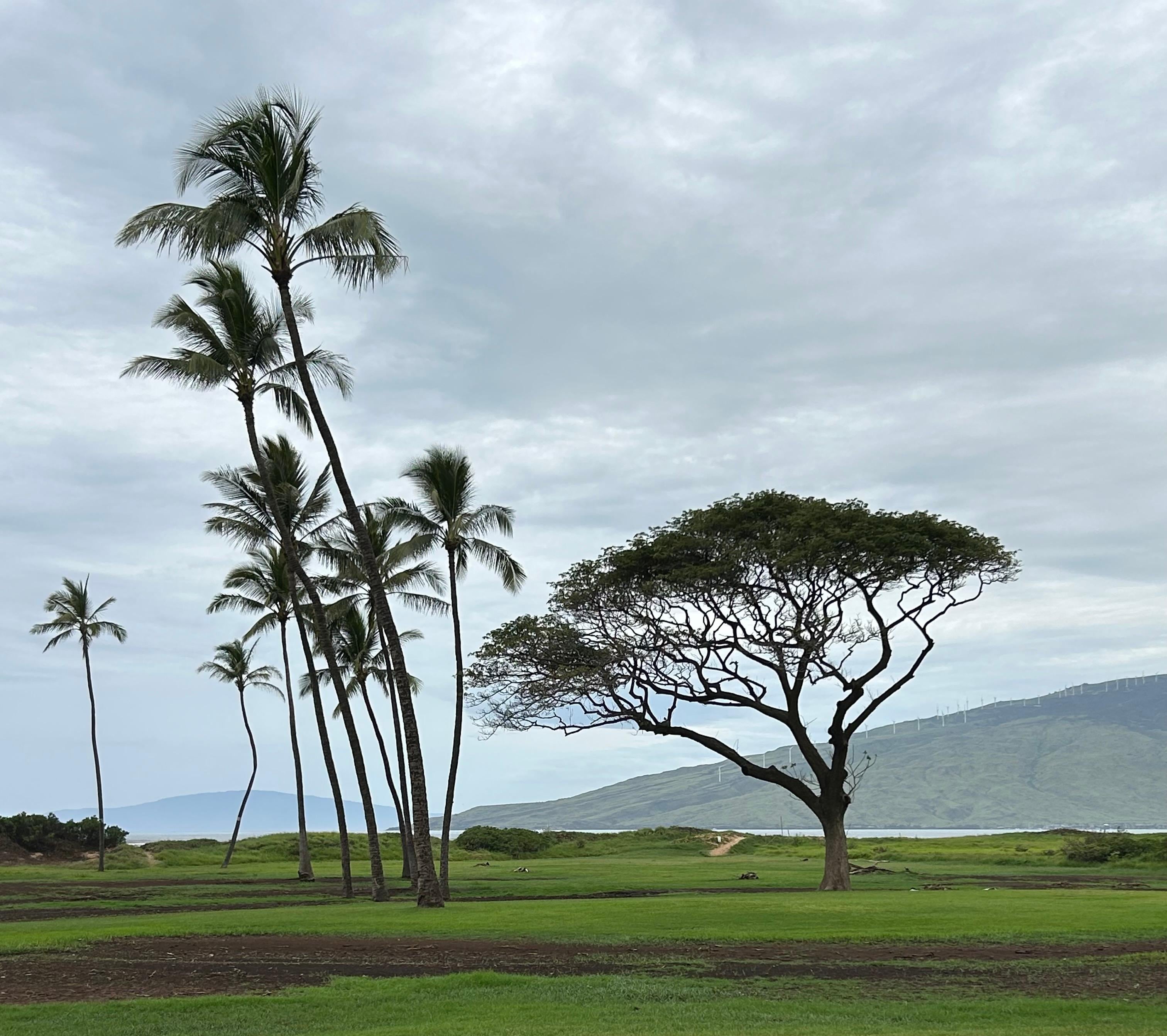 Even when it’s cloudy, it’s spectacular. 