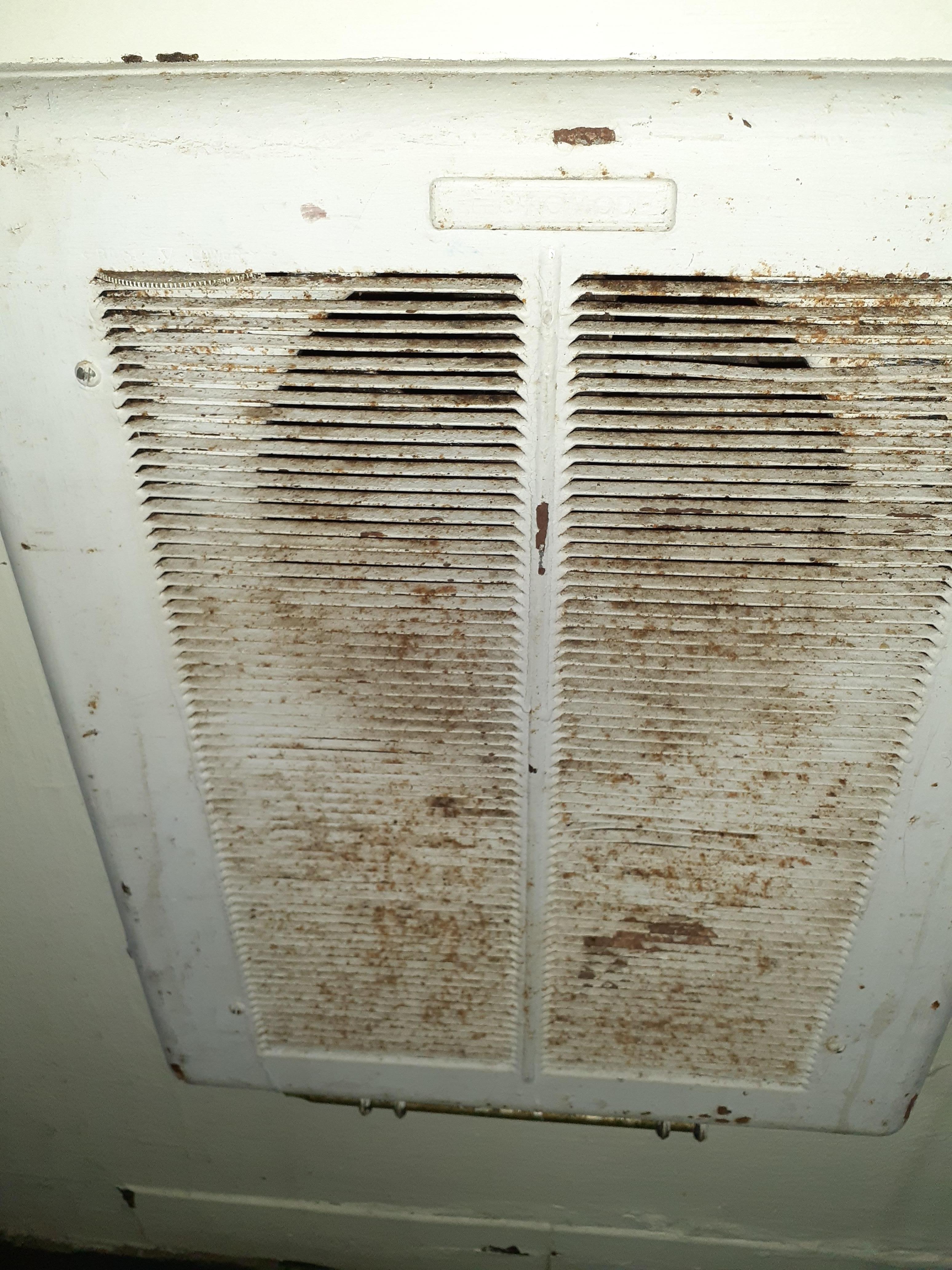 No idea what this filthy thing is